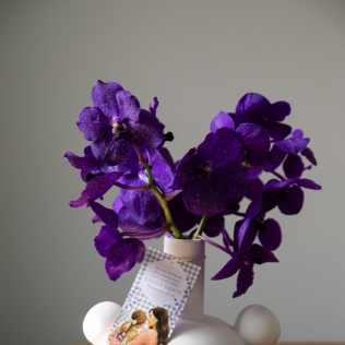 Vaso com Orquídeas Naturais Vanda