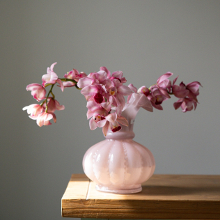 Vaso Trouxinha com Orquídeas Naturais Cymbidium