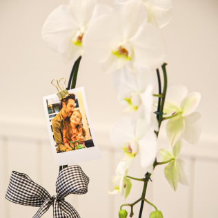 Orquídea 