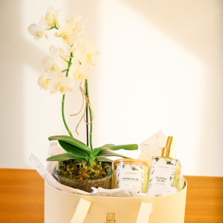 Box Orquidea e Aroma
