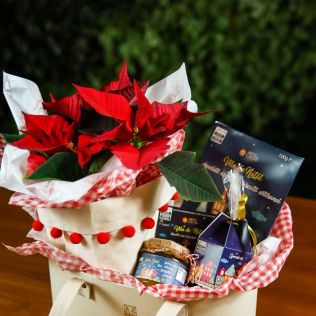 Box Espirito de Natal