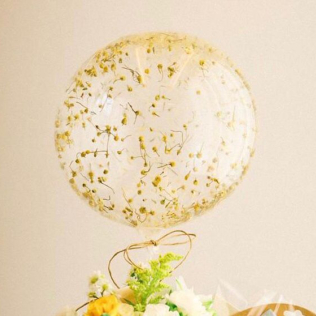 Balão Camomilas ou flores desidratadas