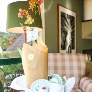 Box para Cultivar Orquídea 1