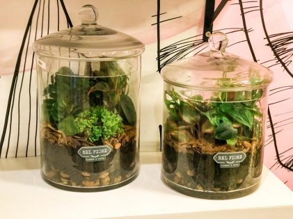 Duo de Terrários