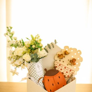 Box Ladybug