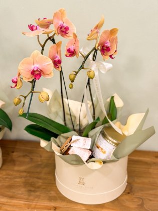 Box Orquídea Florescer