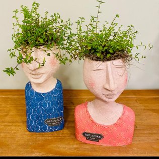 Busto com planta