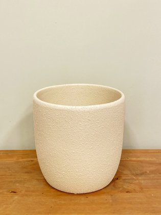 Cachepot Cymbdium P