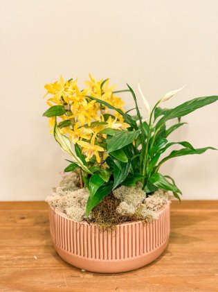 Centro de Mesa Ornamental - Doce de Leite