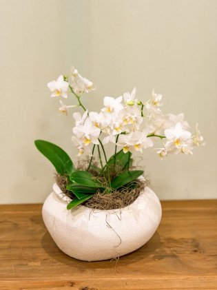 Centro de Mesa Modern com Orquídeas